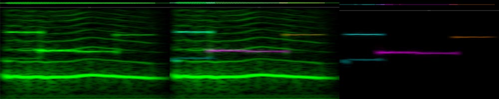 R2SpectrogramMoan